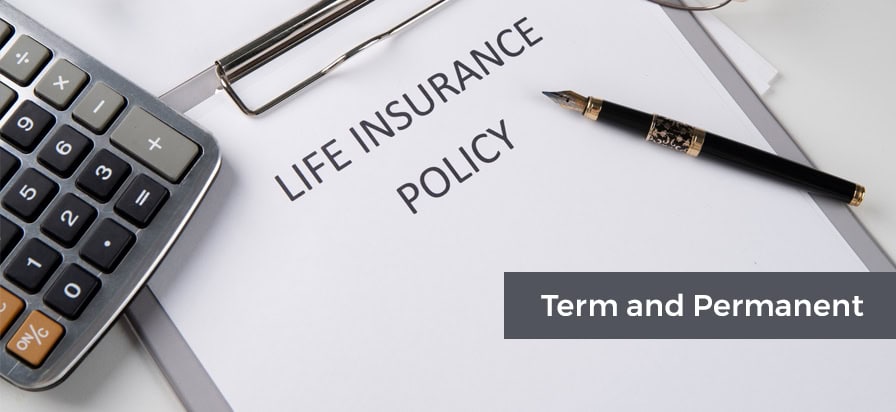 Life Insurance Categories