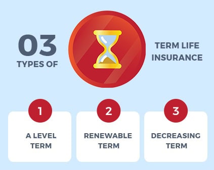 Term Life Insurance Types