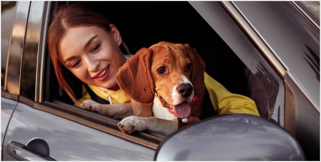 Auto Insurance Broker